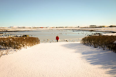 Rear view of woman standing on beach against clear sky