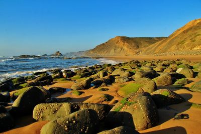 Scenic view of sea against clear blue sky