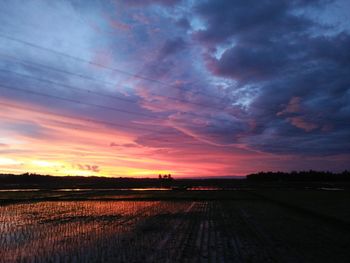 Scenic view of field against sky during sunset