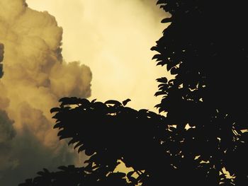 Low angle view of silhouette trees against sky