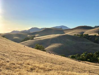 Scenic view of landscape against clear sky