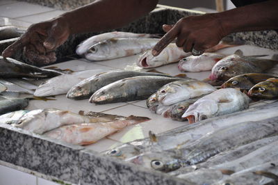 Fish for sale at market