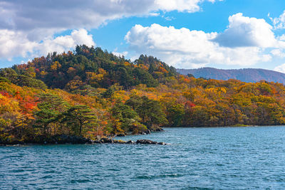 Scenic view of trees against sky during autumn