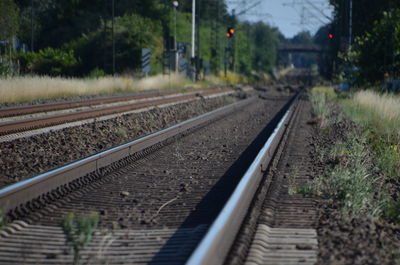 Railroad tracks by trees