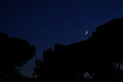 Low angle view of silhouette trees against sky at night