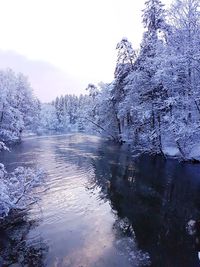 Scenic view of lake in forest during winter