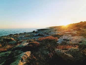 Scenic view of sea against sky during sunset