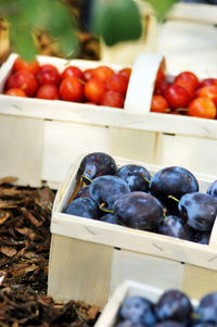 Close-up of fruits in crate for sale at market stall