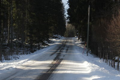 Snow covered road amidst trees in forest