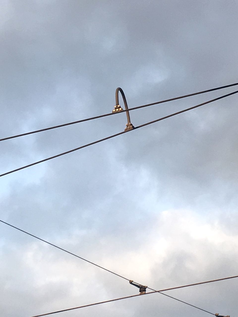 LOW ANGLE VIEW OF BIRDS PERCHING ON CABLE