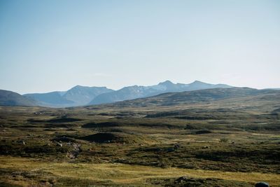 Scenic view of field against clear sky