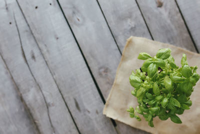 High angle view of leaves on table