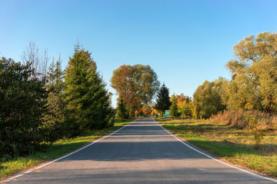 Road amidst trees against clear sky during autumn