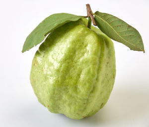 Close-up of green fruit against white background