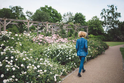 Rear view of woman walking