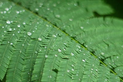 Close-up of water