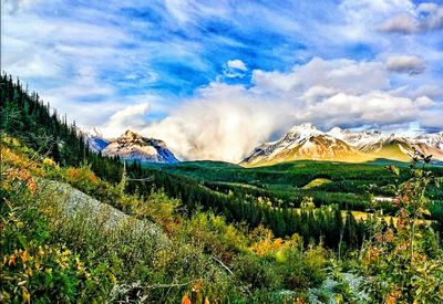 Scenic view of landscape against cloudy sky