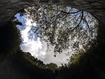 Low angle view of silhouette trees against sky