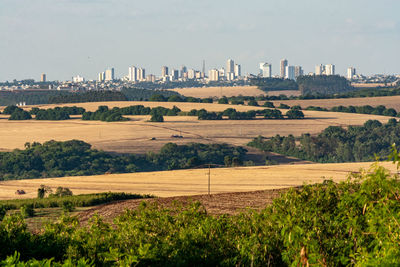 Scenic view of agricultural field against sky in city