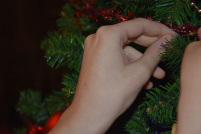 Midsection of  a young woman holding and decorating  christmas tree