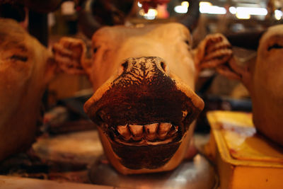 Close-up of cow head at butcher shop for sale