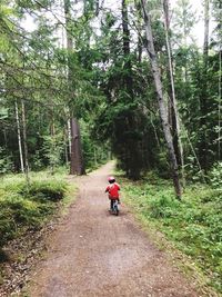 Rear view of man riding bicycle in forest