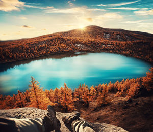 Scenic view of trees against sky during sunset