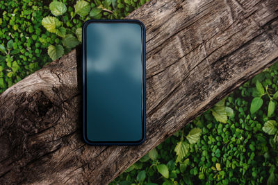 High angle view of smart phone on tree