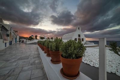 Potted plants outside building by sea against sky