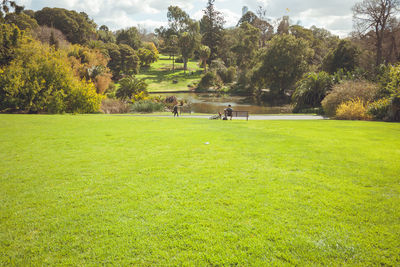 People playing soccer on field