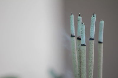 Incense burn to worship the buddha and the sacred.