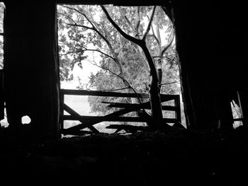 Close-up of silhouette tree against sky