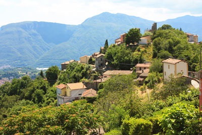 Trees and townscape against mountains