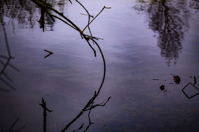 High angle view of a lake