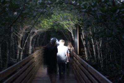 Rear view of man walking amidst trees