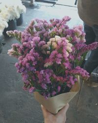 Close-up of pink flowers