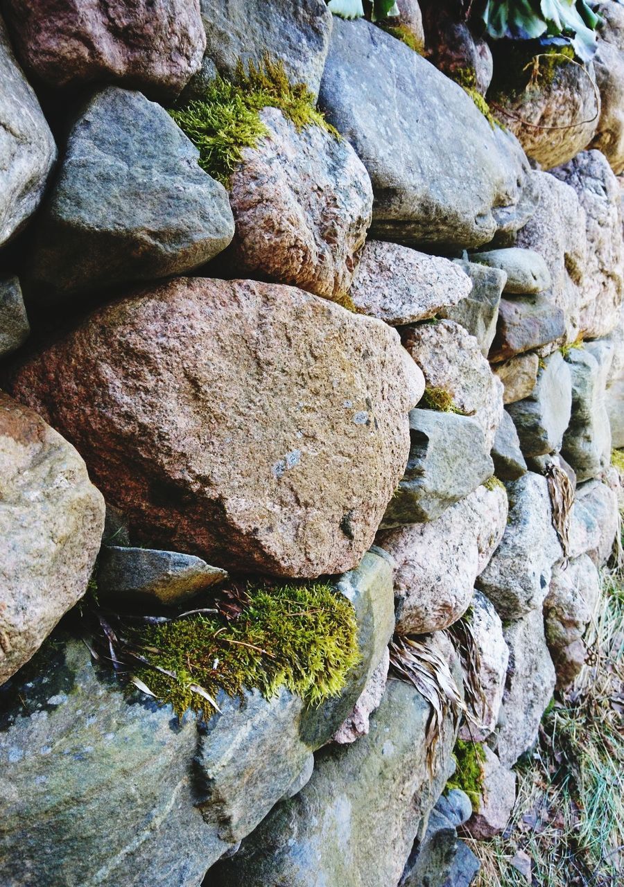 nature, outdoors, close-up, growth, no people, textured, day, beauty in nature