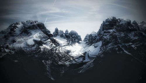 Trees against sky during winter