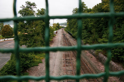 Surface level of railroad track amidst trees