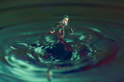 Close-up of drop falling on water