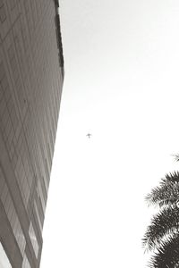 Low angle view of birds flying against clear sky