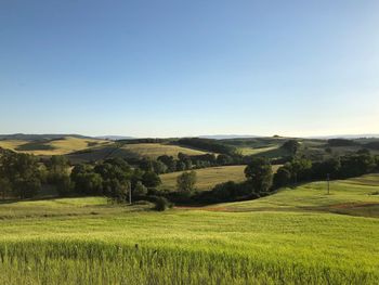 Scenic view of landscape against clear sky