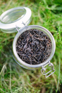 High angle view of plants in jar on field