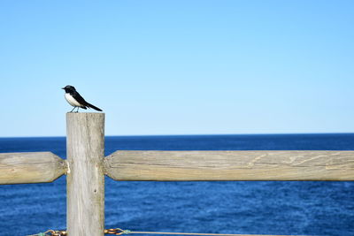 Bird perching on wooden post by sea against clear sky