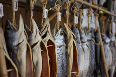 Dry salmons hanging for sale at fish market