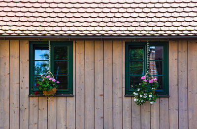 Flower pots on window of house