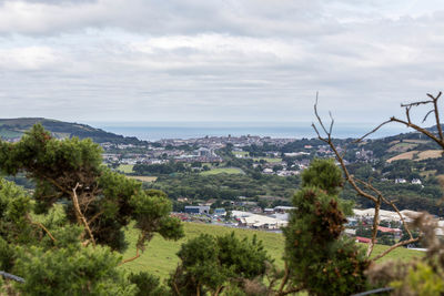 High angle view of trees and cityscape against sky