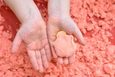 Close-up of hand holding pink petals