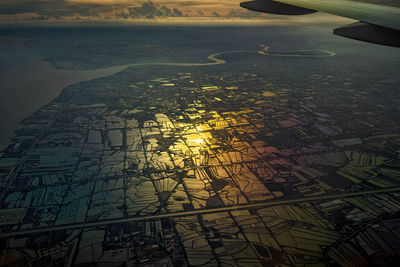 View of trees at sunset