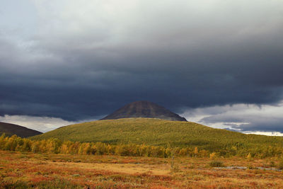 Scenic view of field against sky